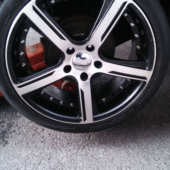 Meet your Posher, Reynaldo - Picture 1 of 1